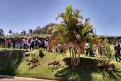 Casa Geraldo - Anhanguera 06