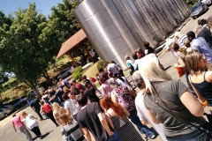 Casa Geraldo - Anhanguera 08