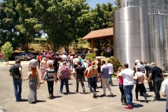 Casa Geraldo - Anhanguera 10