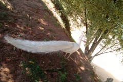 Casa Geraldo - Anhanguera 14