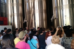 Casa Geraldo - Anhanguera 16