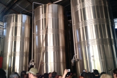 Casa Geraldo - Anhanguera 17