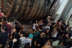 Casa Geraldo - Anhanguera 19