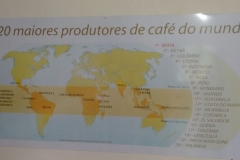 Fazenda do Café - Liceu di Thiene 11