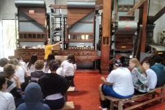 Fazenda do Café - Liceu di Thiene 12