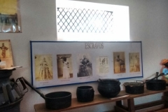 Fazenda do Café - Liceu di Thiene 14