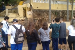 Fazenda do Café - Liceu di Thiene 17