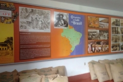 Fazenda do Café - Liceu di Thiene 18