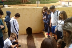 Fazenda do Café - Liceu di Thiene 19