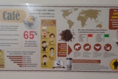 Fazenda do Café - Liceu di Thiene 22