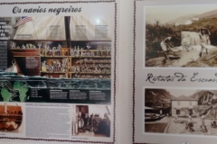 Fazenda do Café - Liceu di Thiene 24