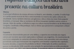 Fazenda do Café - Liceu di Thiene 27