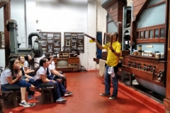 Fazenda do Café - Liceu di Thiene 28