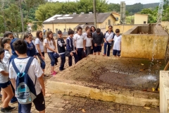 Fazenda do Café - Liceu di Thiene 30