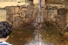 Fazenda do Café - Liceu di Thiene 31