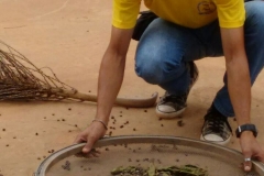 Fazenda do Café - Liceu di Thiene 38