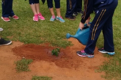 Fazenda do Café - Liceu di Thiene 43