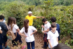 Fazenda do Café - Liceu di Thiene 44