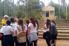 Fazenda do Café - Liceu di Thiene 45