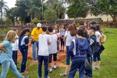 Fazenda do Café - Liceu di Thiene 47