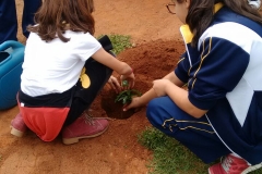 Fazenda do Café - Liceu di Thiene 48