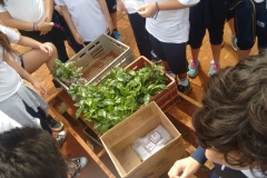 Fazenda do Café - Liceu di Thiene 54