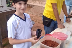 Fazenda do Café - Liceu di Thiene 55