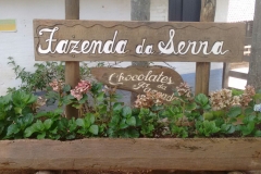 Fazenda do Café - Colégio Iemano 01