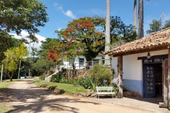 Fazenda do Café - Colégio Iemano 01b