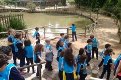 Fazenda do Café - Colégio Iemano 07