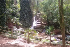 Fazenda do Café - Colégio Iemano 10