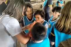 Fazenda do Café - Colégio Iemano 11