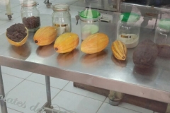 Fazenda do Café - Colégio Iemano 20