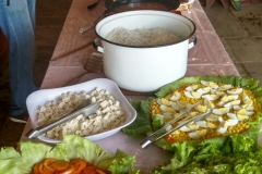 Fazenda do Café - Colégio Iemano 22