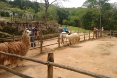 Fazenda do Café - Colégio Iemano 25