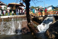 Festival_de_Inverno_Campos _do_Jordao-1