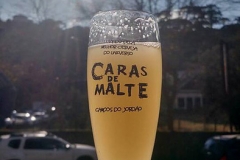 Festival_de_Inverno_Campos _do_Jordao-12