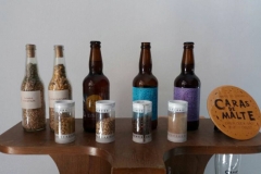 Festival_de_Inverno_Campos _do_Jordao-3