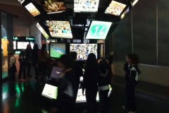 Museu do Futebol - Liceu 09