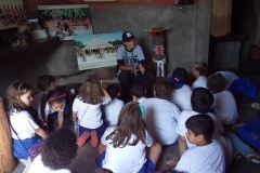 Toca_da_Raposa_Colegio_Tutor-15