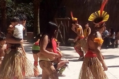 Toca_da_Raposa_Colegio_Tutor-17