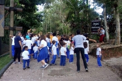 Toca_da_Raposa_Colegio_Tutor-3