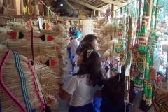 Toca_da_Raposa_Colegio_Tutor-6