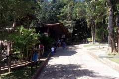 Toca_da_Raposa_Colegio_Tutor-7