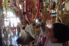 Toca_da_Raposa_Colegio_Tutor-8