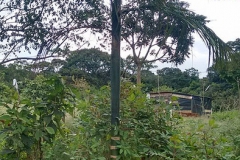 Tribo_Krukutu_Colegio_Guaracy_Nov_Era-14