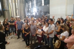 Vinicola_Casa_Geraldo-11