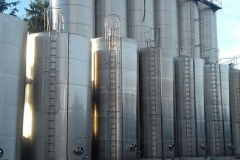 Vinicola_Casa_Geraldo-15