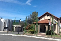 Vinicola_Casa_Geraldo-21