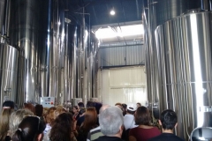 Vinicola_Casa_Geraldo-3